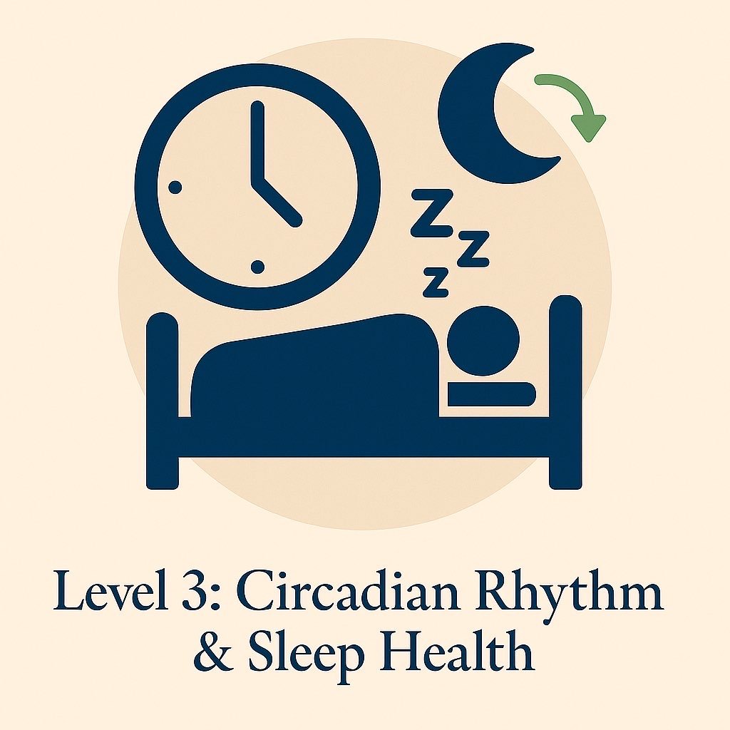 Icon for Level 3 Circadian Rhythm and Sleep Health – crescent moon and clock symbolizing rest, recovery, and energy alignment.